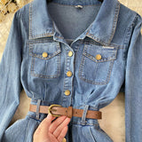 Vintage Water Wash Denim Dress Women's Autumn New High-End Thin Temperament Waist Single Buckle Long Skirt