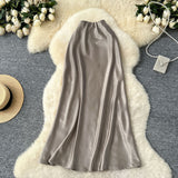 High-Grade Sensed With The Frontal Half-Dress Woman 2025 New Light Luxury High-Rise Thin A-Word Bag With A Long Skirt With A Long Tail